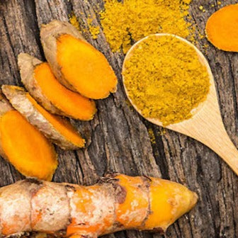 Turmeric Extract