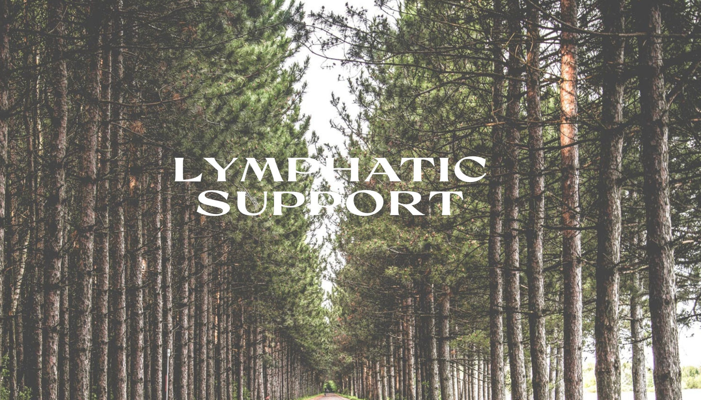 Lymphatic Support