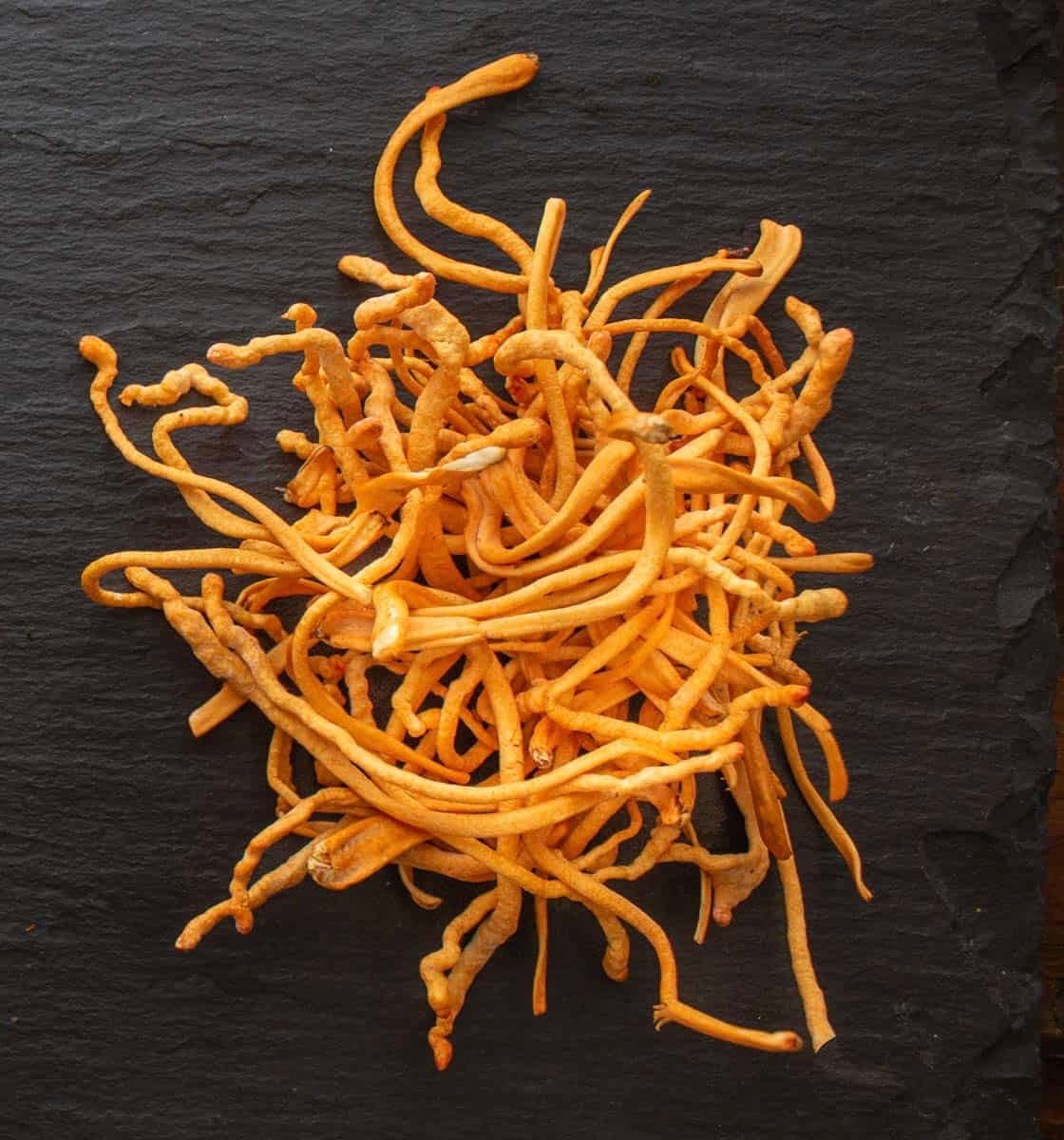 Cordyceps Mushroom Extract