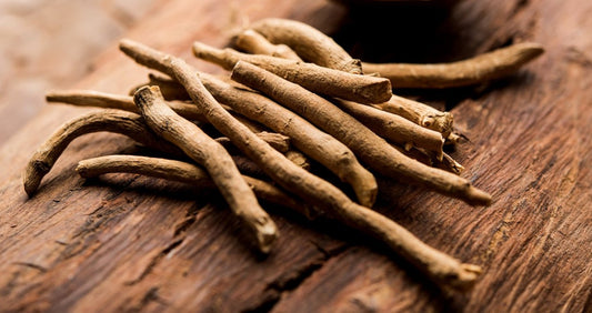 Ashwagandha Root Extract