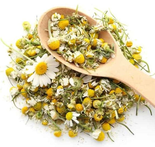 Chamomile Extract