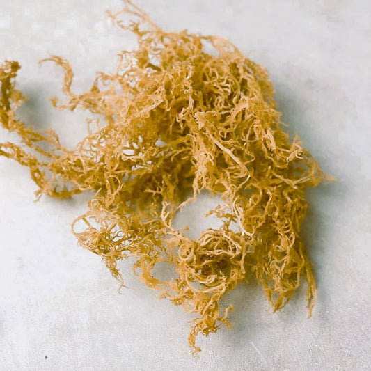 Irish Sea Moss Extract